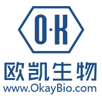 N端脑钠肽前体抗体_NT-proBNP抗体_南京欧凯生物