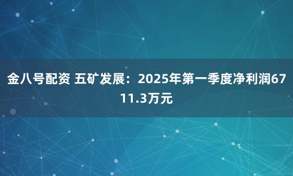 金八号配资 五矿发展：2025年第一季度净利润6711.3万元