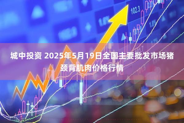 城中投资 2025年5月19日全国主要批发市场猪颈背肌肉价格行情