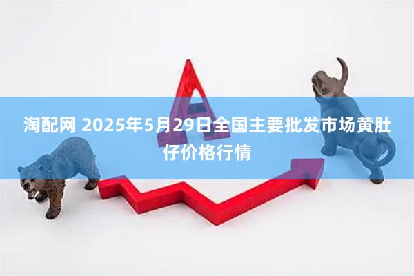 淘配网 2025年5月29日全国主要批发市场黄肚仔价格行情