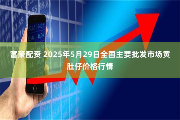 富豪配资 2025年5月29日全国主要批发市场黄肚仔价格行情