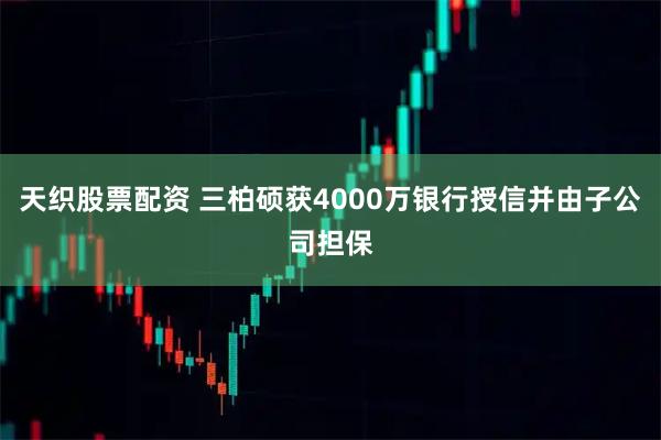 天织股票配资 三柏硕获4000万银行授信并由子公司担保