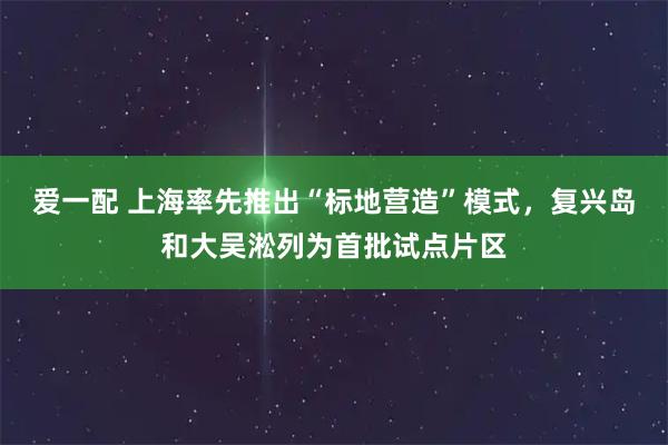 爱一配 上海率先推出“标地营造”模式，复兴岛和大吴淞列为首批试点片区