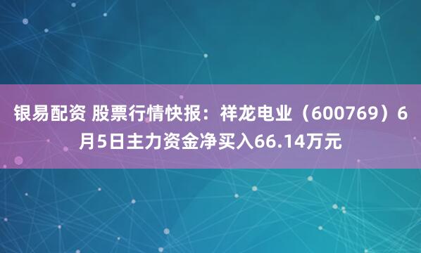 银易配资 股票行情快报：祥龙电业（600769）6月5日主力资金净买入66.14万元