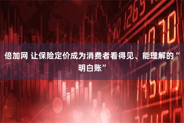 倍加网 让保险定价成为消费者看得见、能理解的“明白账”