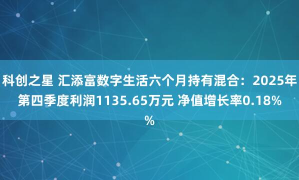 科创之星 汇添富数字生活六个月持有混合：2025年第四季度利润1135.65万元 净值增长率0.18%