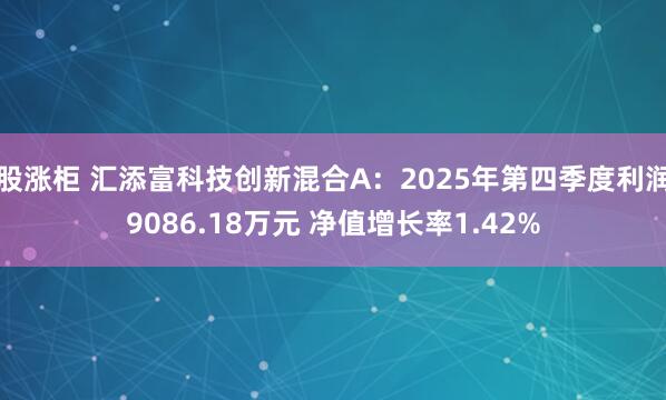 股涨柜 汇添富科技创新混合A：2025年第四季度利润9086.18万元 净值增长率1.42%
