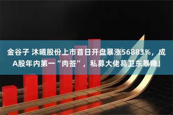 金谷子 沐曦股份上市首日开盘暴涨56883%，成A股年内第一“肉签”，私募大佬葛卫东暴赚！